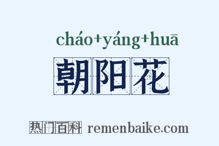 朝阳花是什么意思的图片